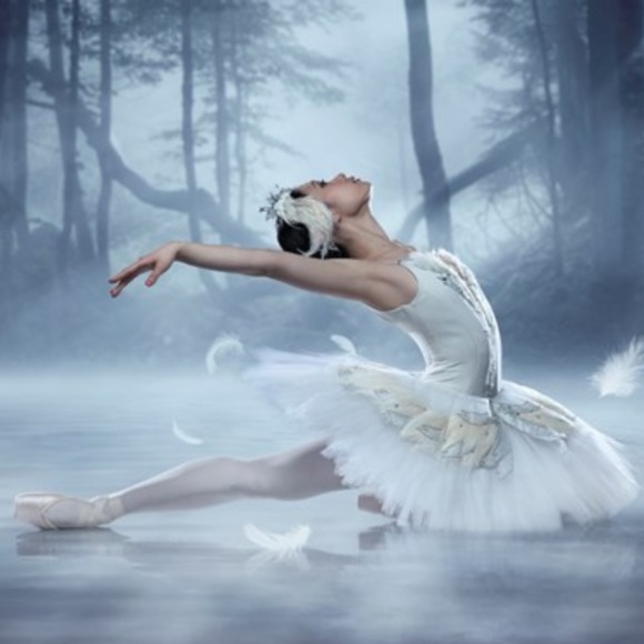 swandance